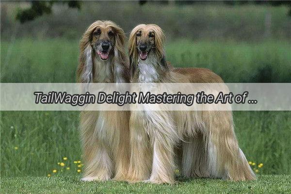 TailWaggin Delight Mastering the Art of Feeding Your Pups Perfect Sausage Meal